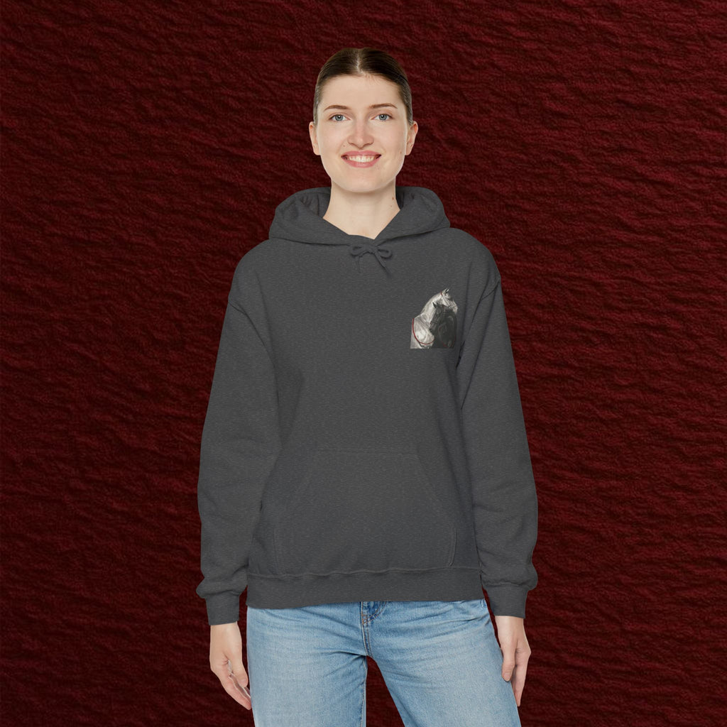 Arabian Heritage Hoodie